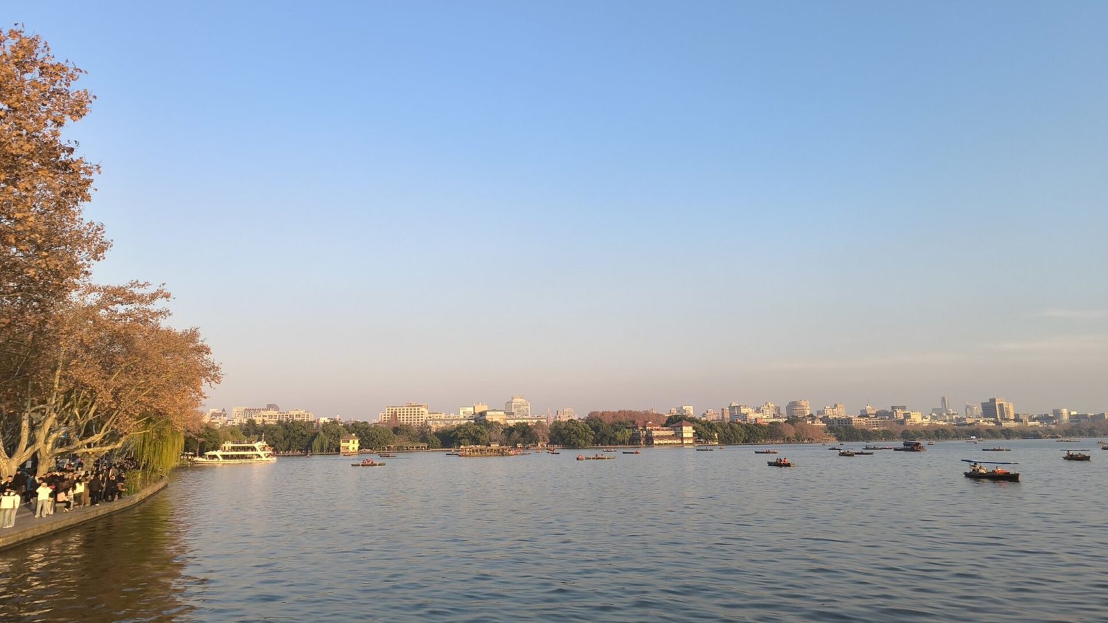 Barcas de remo sobre el lago del Oeste de Hangzhou al atardecer, con un árbol otoñal en primer plano