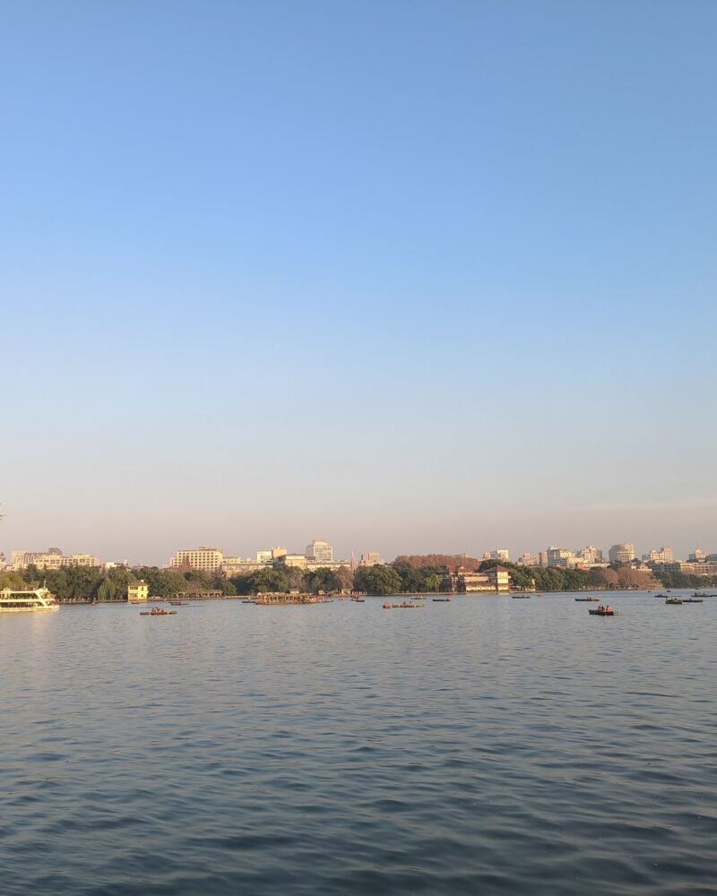 Barcas de remo sobre el lago del Oeste de Hangzhou al atardecer, con un árbol otoñal en primer plano