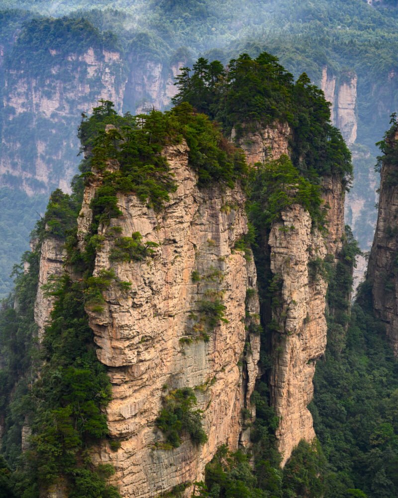 Pilares de arenisca cubiertos de vegetación en el parque forestal de Zhangjiajie